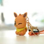 Porte Cle Evoli et Evolutions Evoli