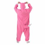 Costume Pokemon Ramoloss