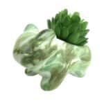 Pot de Fleur Bulbizarre