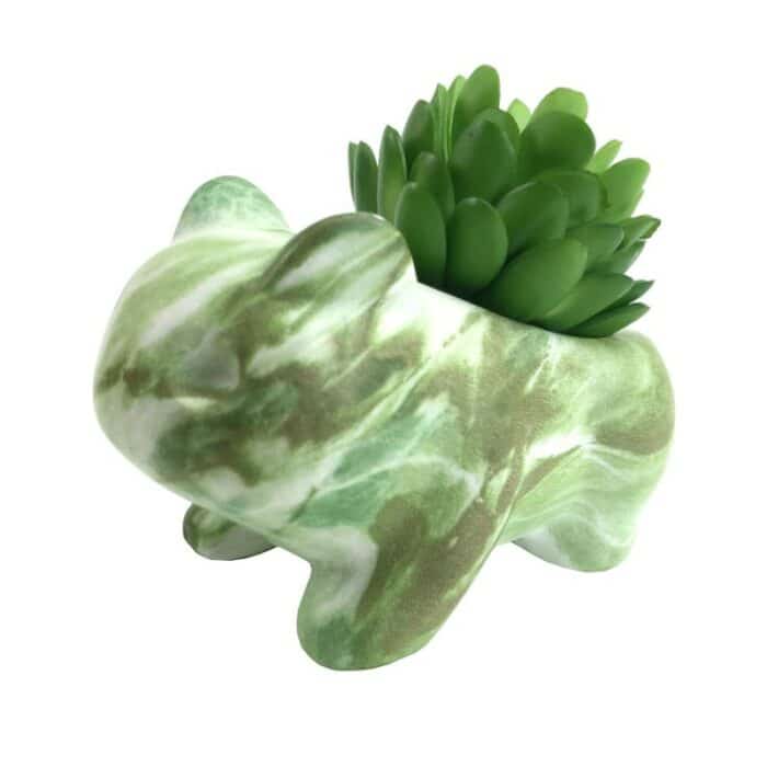 Pot de Fleur Bulbizarre