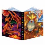 Range Carte Pokemon Entei et Mega Dracaufeu